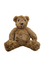 Load image into Gallery viewer, Teddy Bear