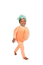 Load image into Gallery viewer, Pumpkin Patch Costume