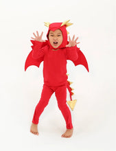 Load image into Gallery viewer, Red Dragon Costume