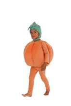 Load image into Gallery viewer, Pumpkin Patch Costume
