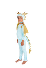 Load image into Gallery viewer, Sky Blue Dragon Costume
