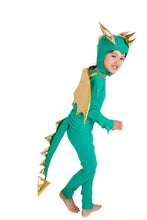 Load image into Gallery viewer, Green Sky Dragon Costume
