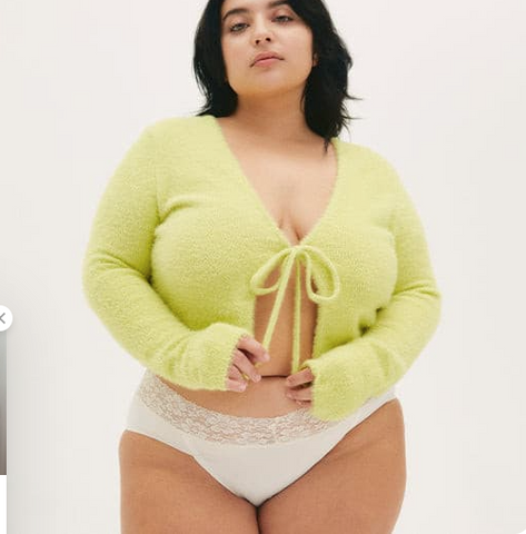 Lacy Bikini V Period Panty